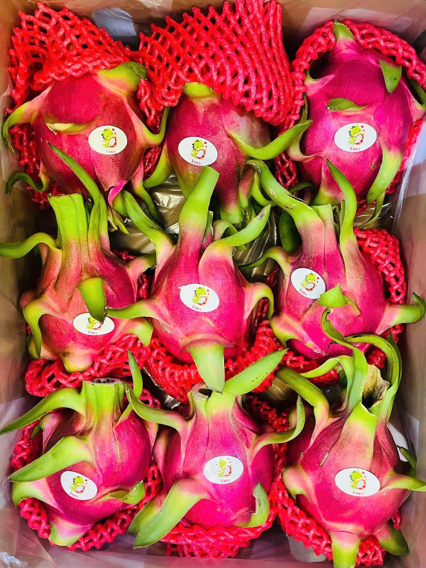 Reading Korean retail specs for fresh tropical fruit