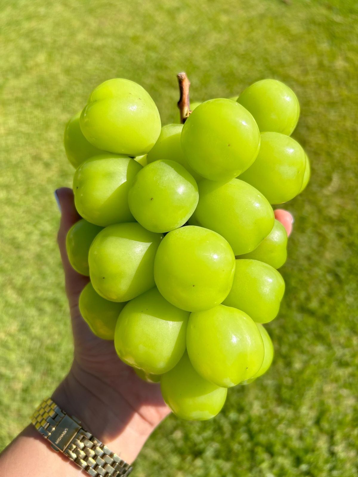 Grape