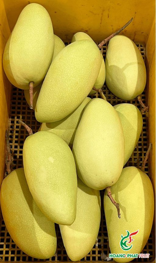 IQF Mango